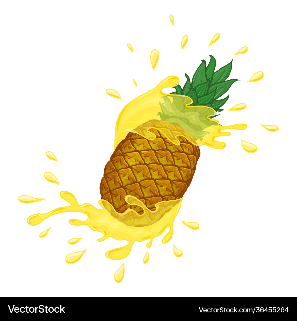 Pineapple with splashes hand drawn objects Vector Image