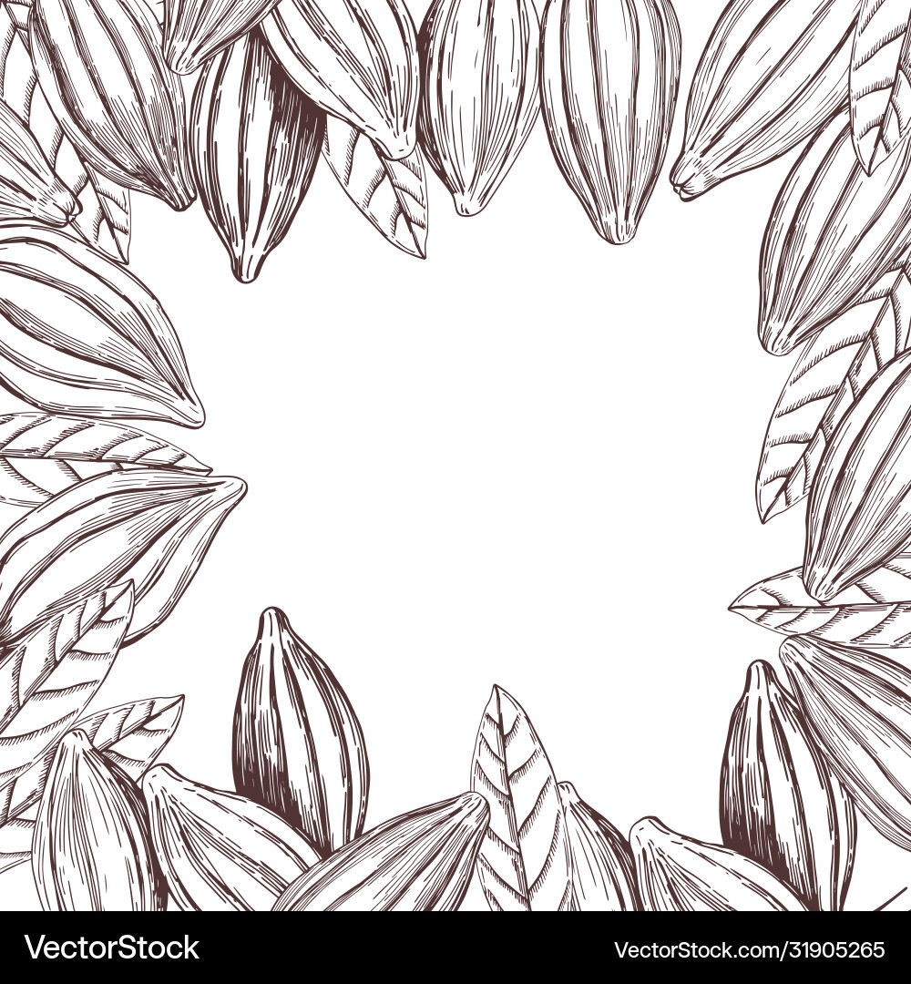 Background with hand drawn cocoa beans sketch Background with hand drawn cocoa beans sketch vector image