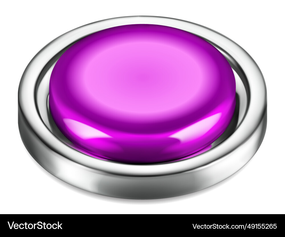 Big button with metallic border Big button with metallic border vector image