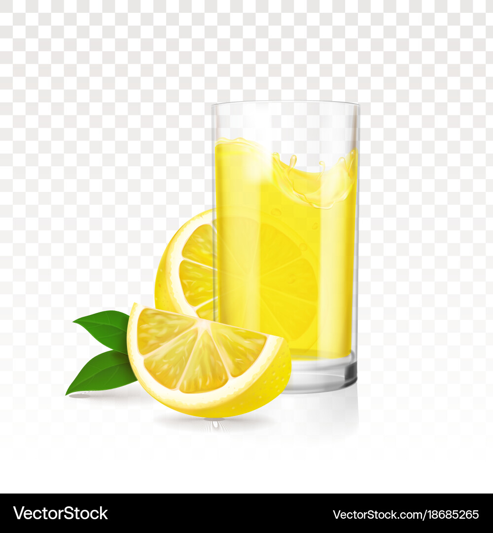 Refreshing Lemonade with Lemon Slices vector image
