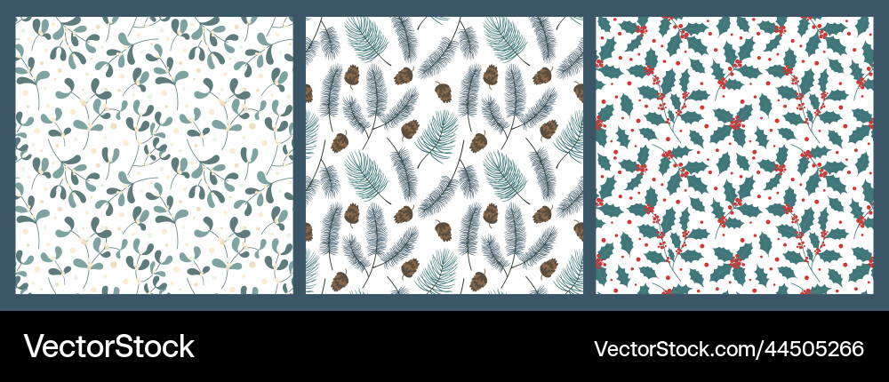 Christmas branches pattern holly and mistletoe Christmas branches pattern holly and mistletoe vector image