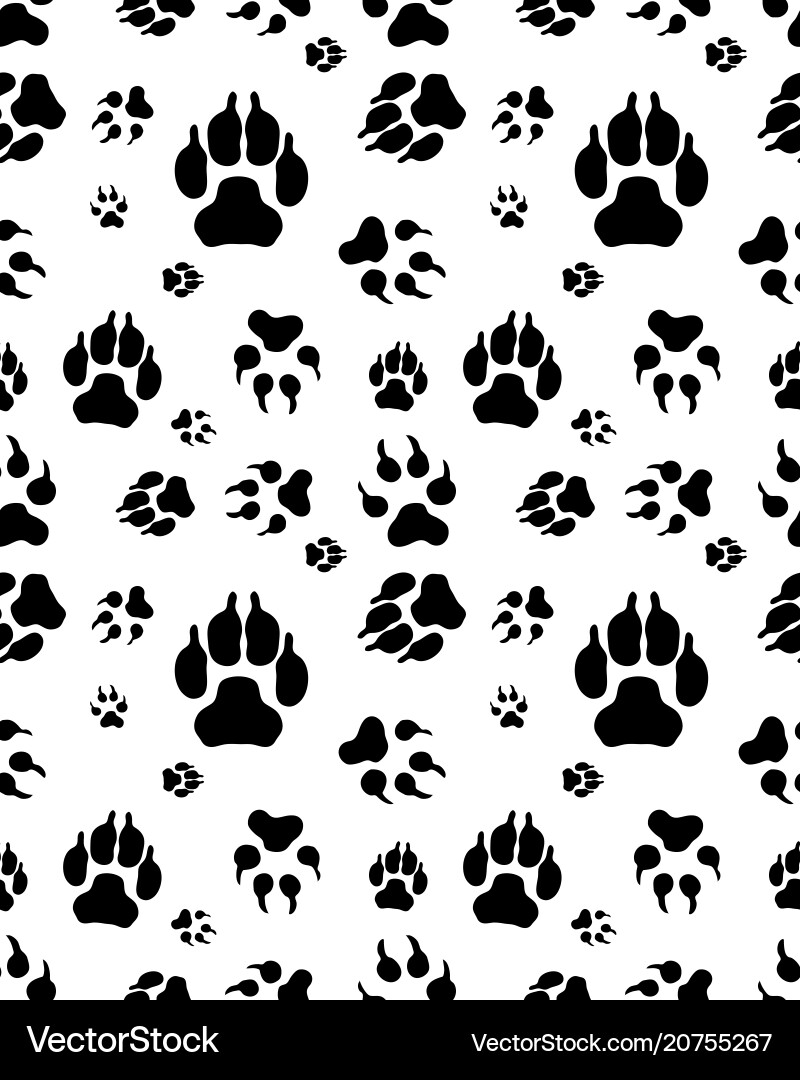 Print of dogs paws Print of dogs paws Vector Image