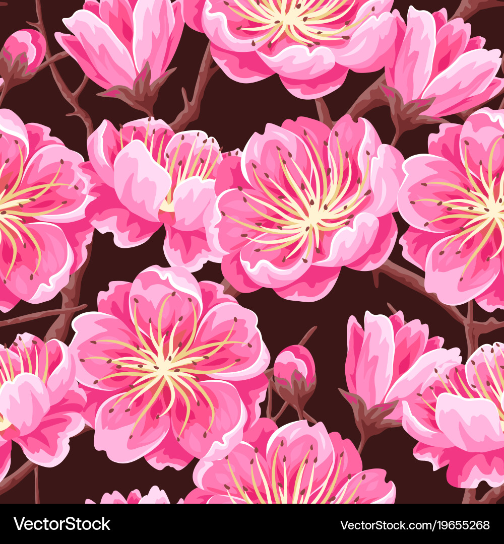 Sakura Blossom Seamless Pattern Vector Image