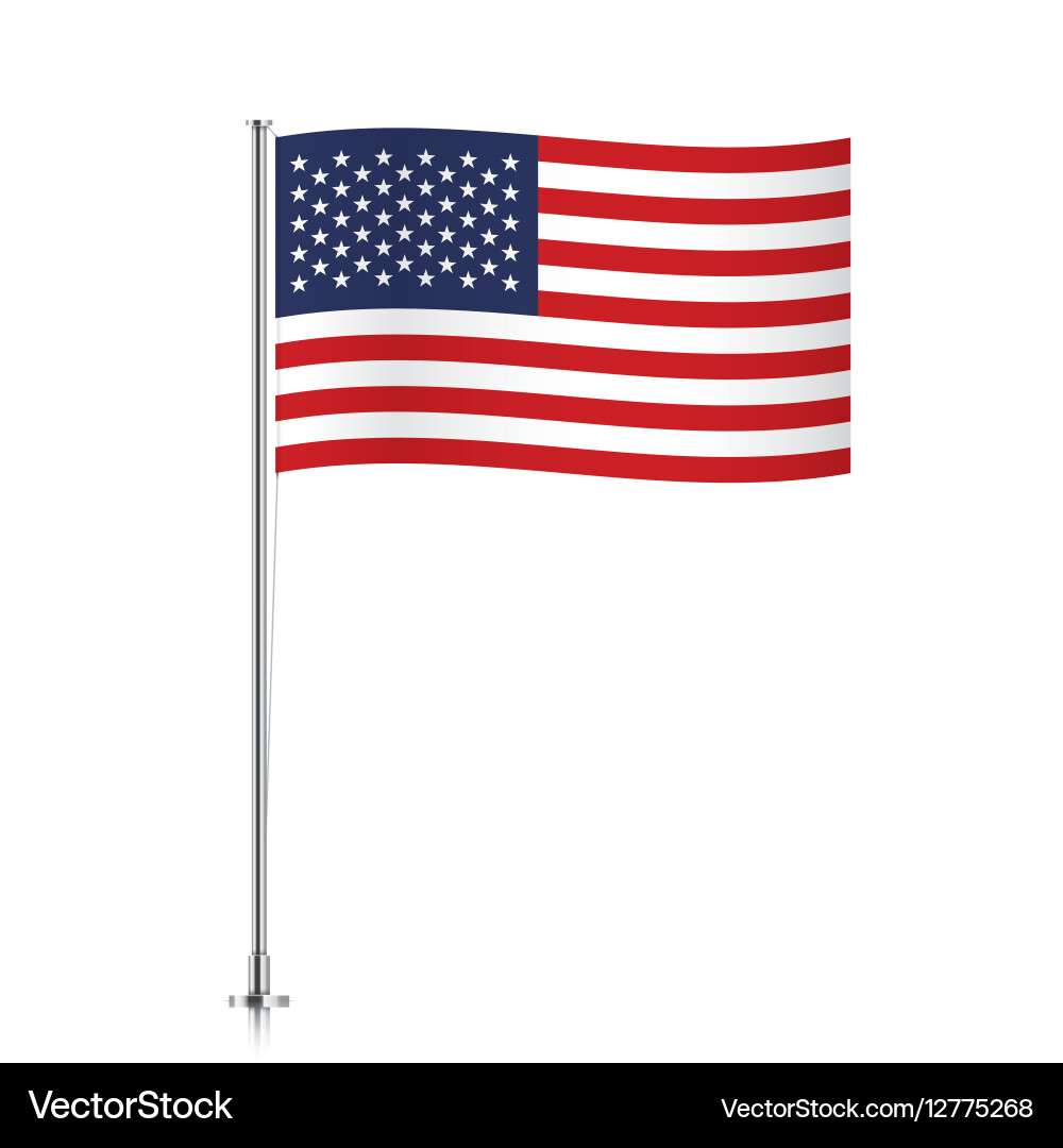 USA Flag on Metallic Pole vector image