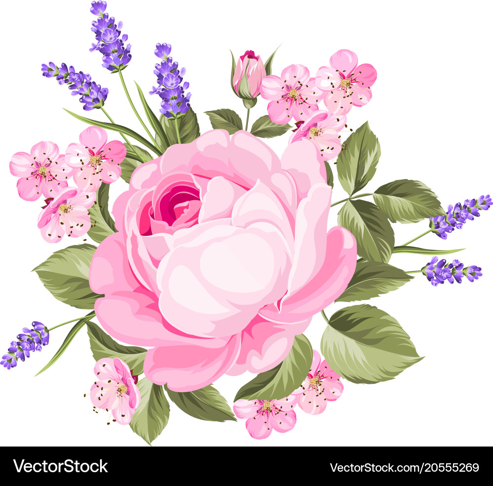Lavender & Rose Bouquet Vector Image