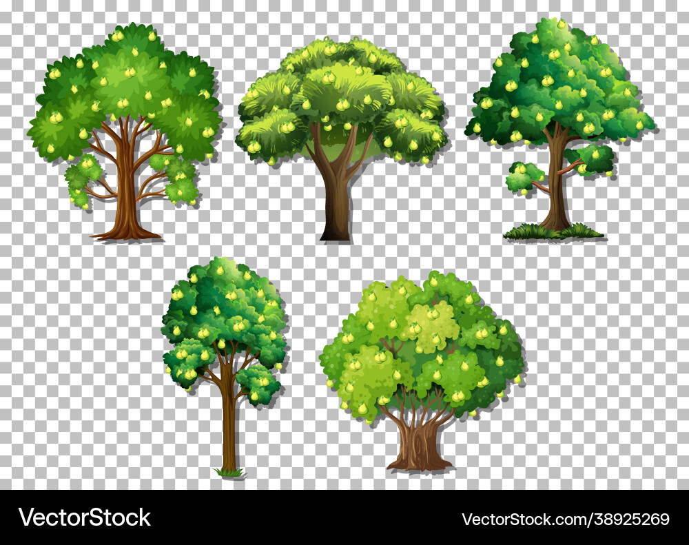 Set different trees on transparent background Set different trees on transparent background vector image