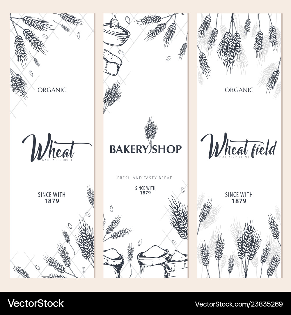 Set of bakery backgrounds with wheats linear vector image