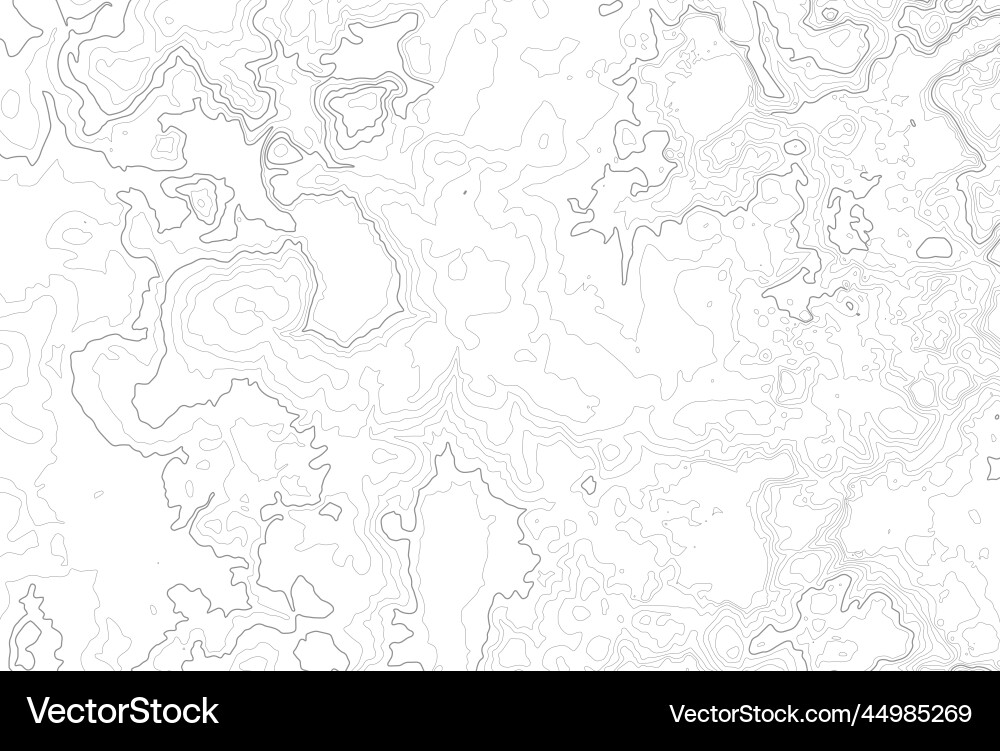 Topographic Map Background Vector Image