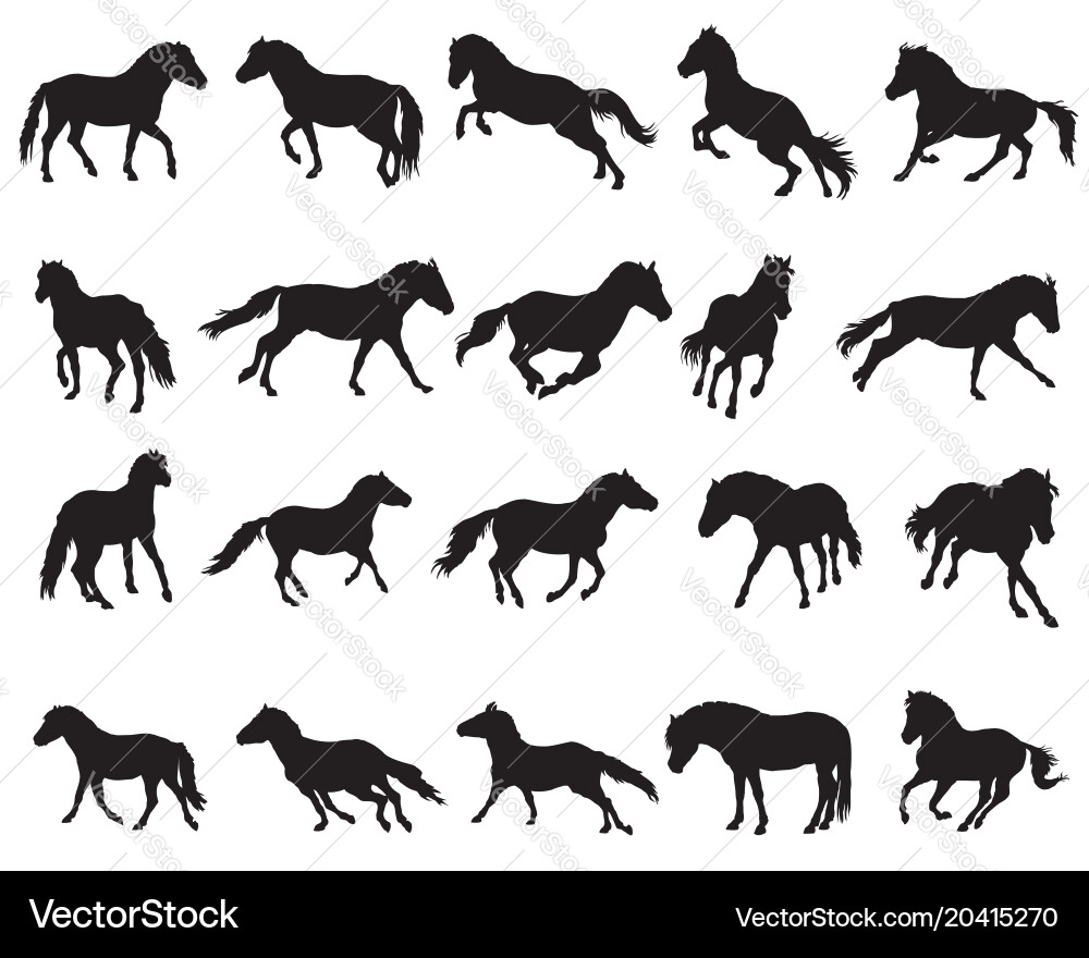 Horse Silhouettes - Black and White Vector Image