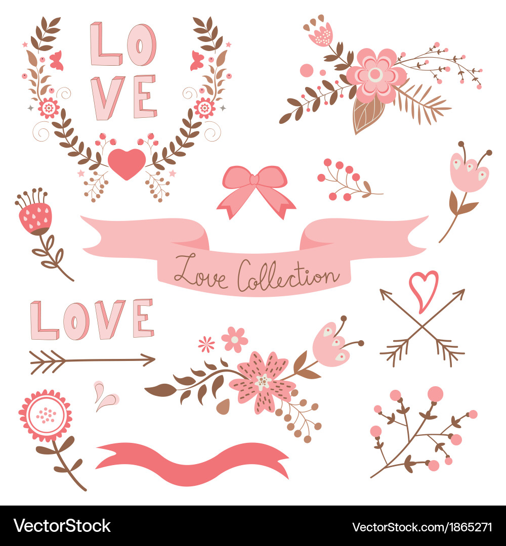 Romantic Floral Collection Vector Image