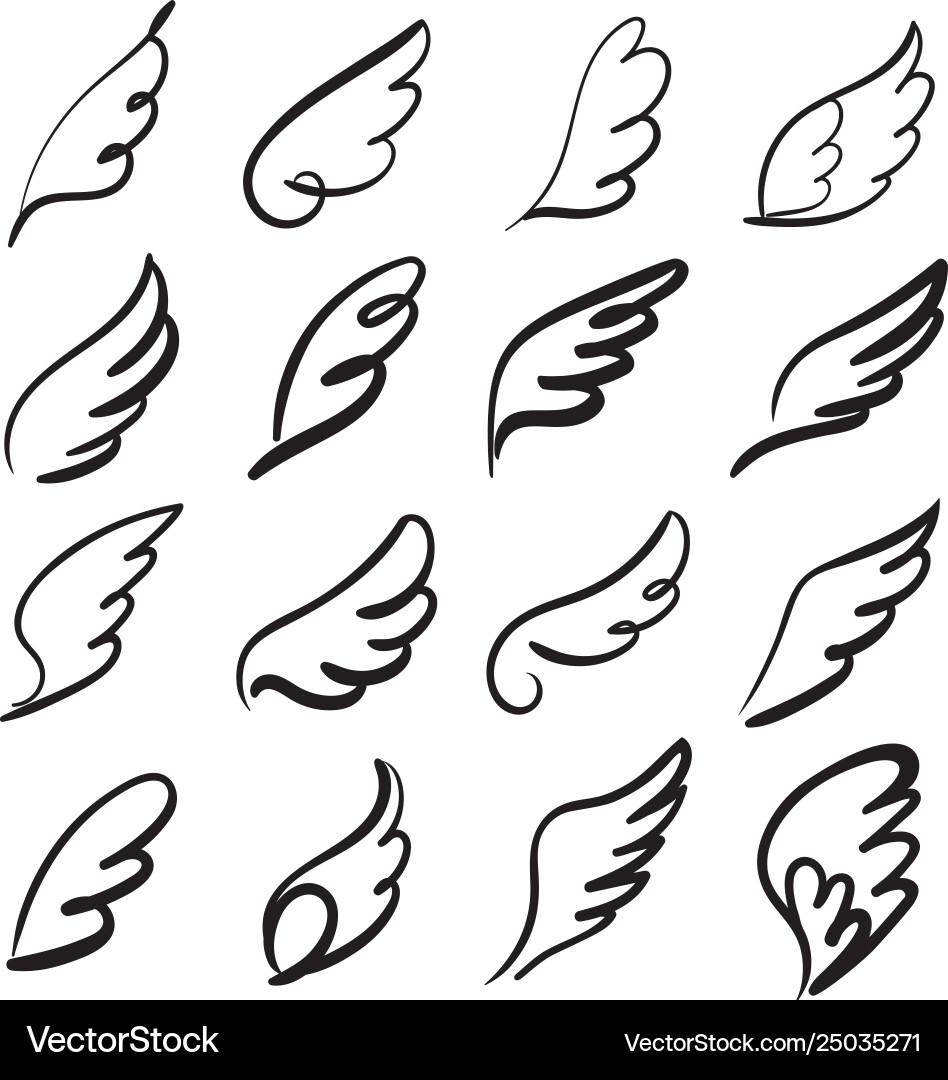 Sketch angel wings feather wing bird Sketch angel wings feather wing bird vector image