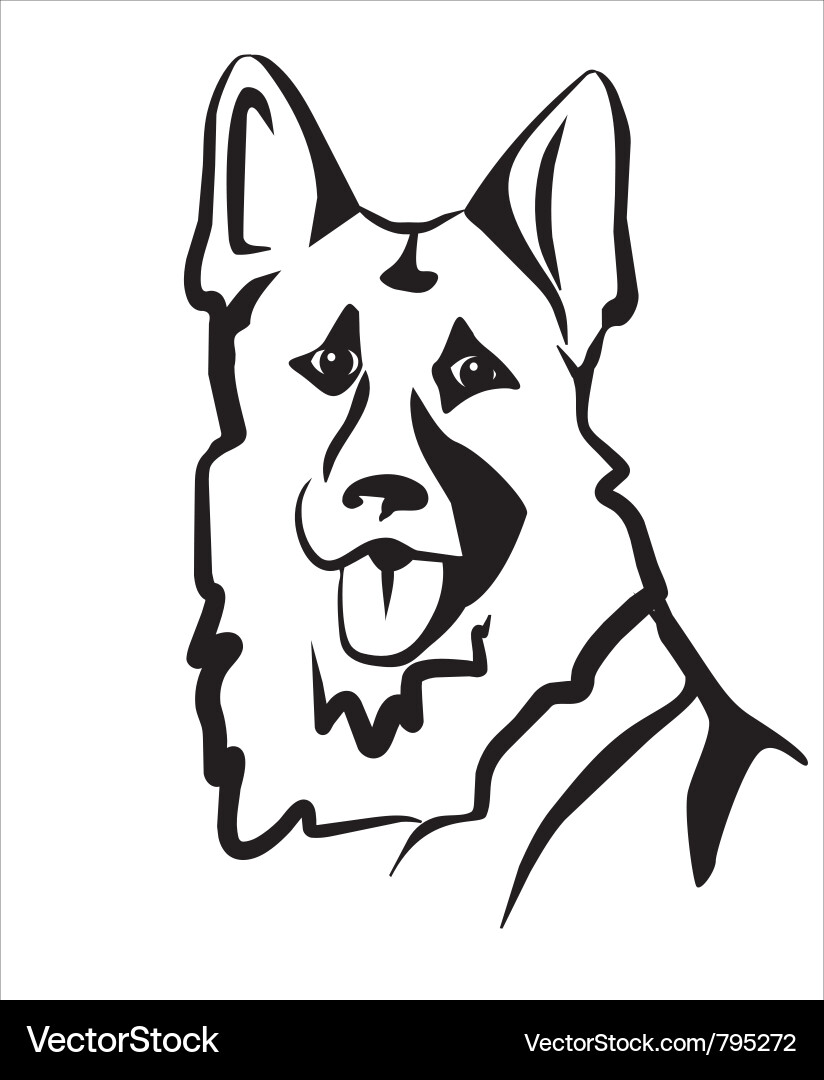 German shepard vector image