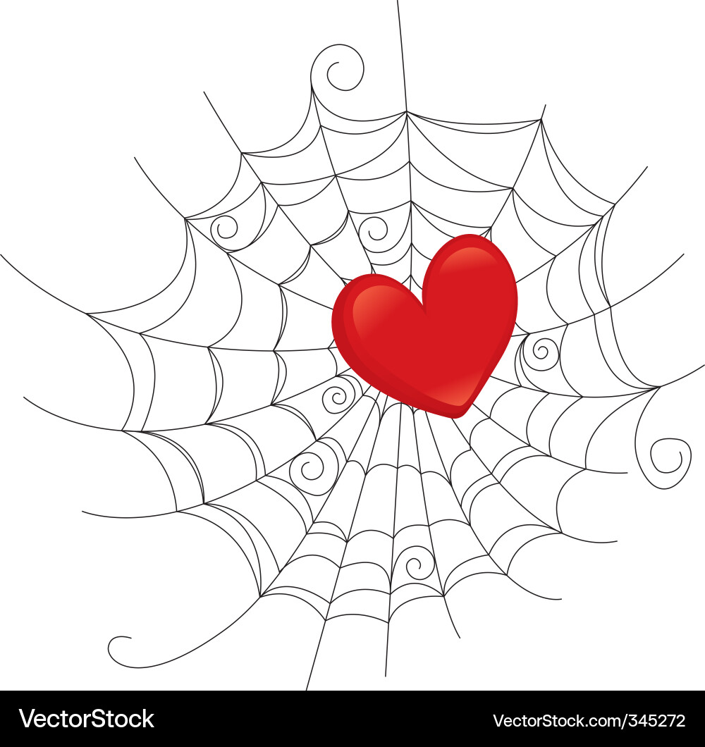 Trapped in web vector image