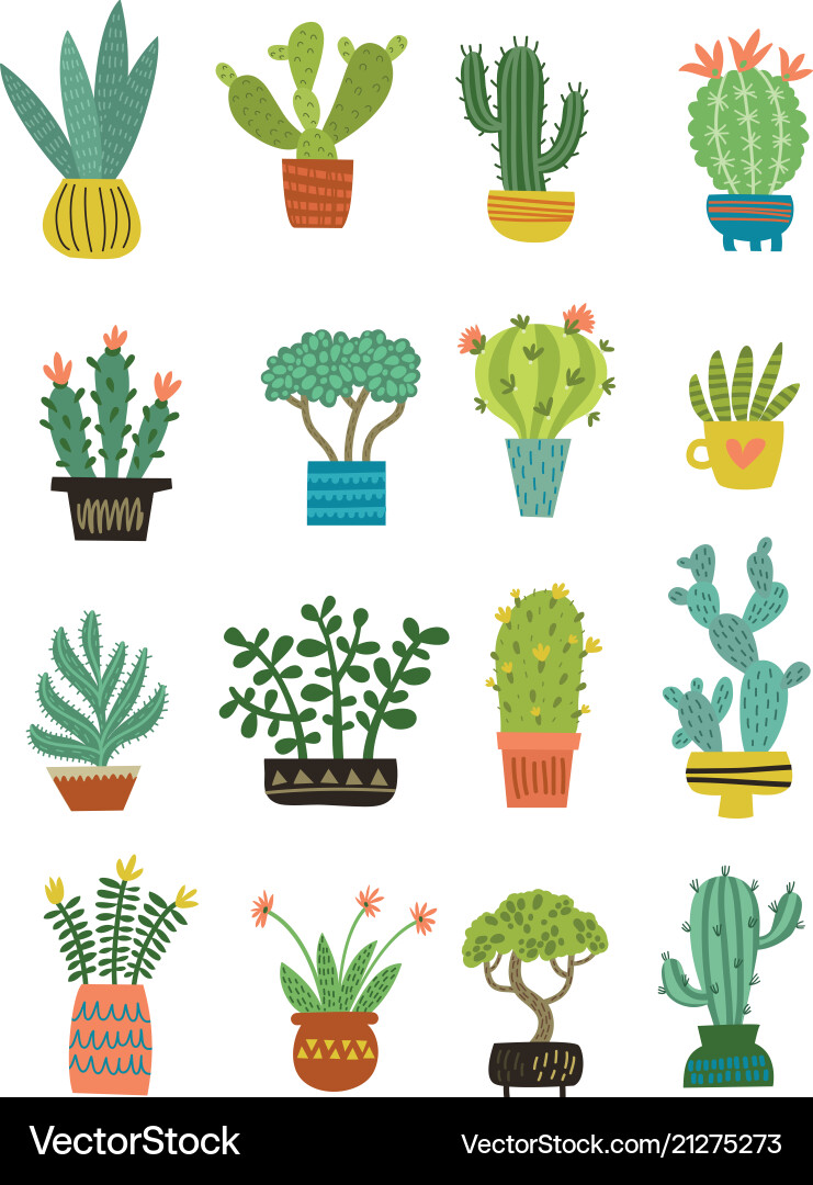 Adorable Cactus Collection Vector Image