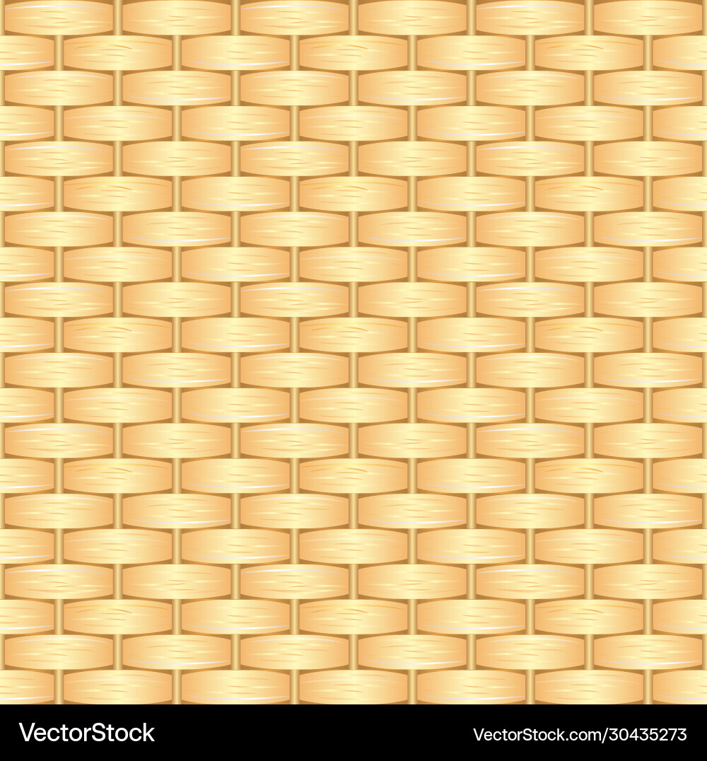 Intricate Wicker Pattern vector image