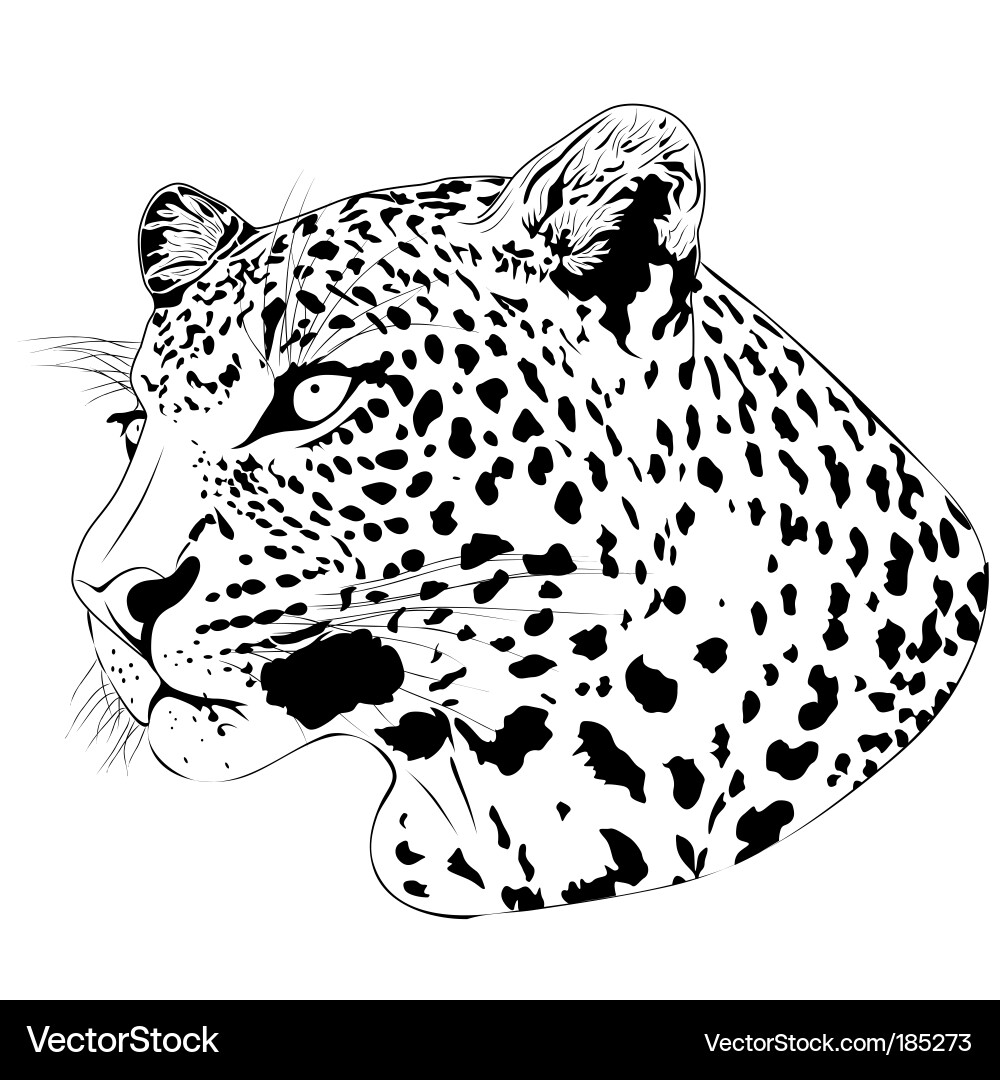 Leopard Art Print vector image