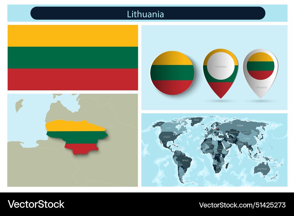 Political infographics made from maps and flags Vector Image