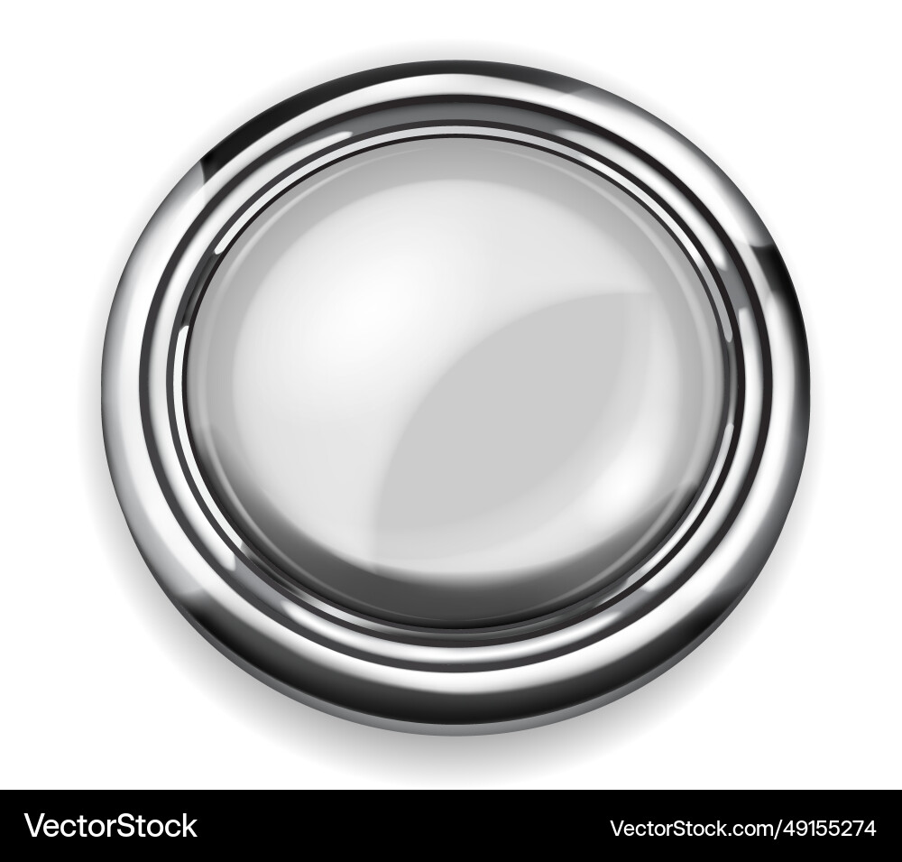 Big button with metallic border vector image