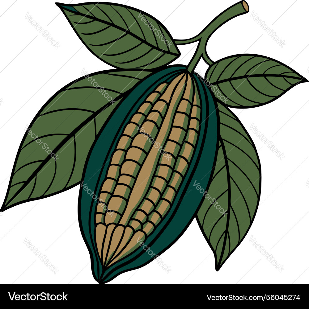 Cocoa pod with leaves in art style ai generative vector image