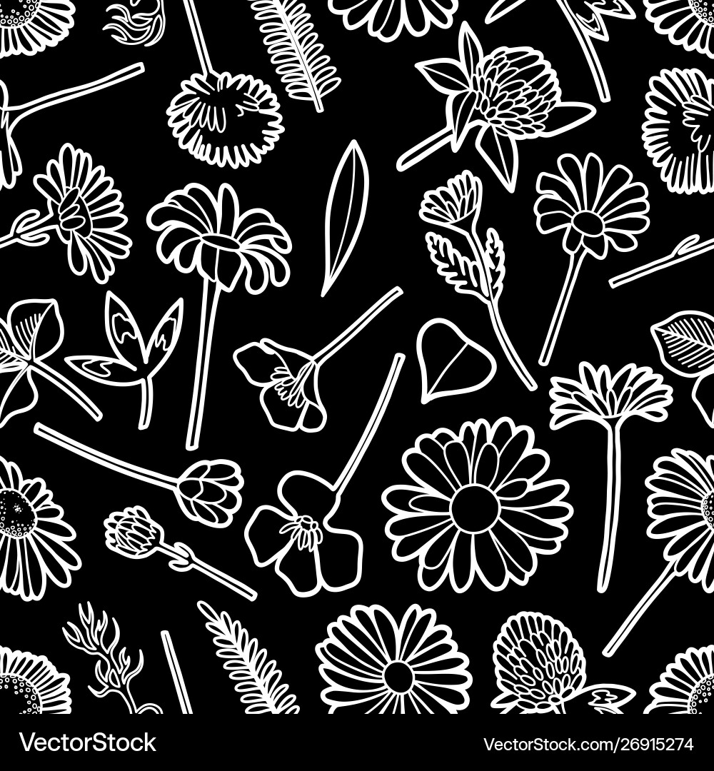 Graphic seamless pattern wild meadow flowers Graphic seamless pattern wild meadow flowers vector image