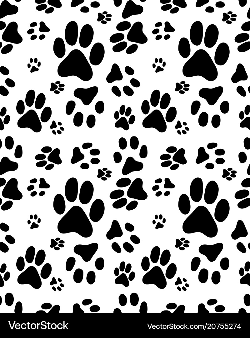 Print of cats paws Print of cats paws vector image
