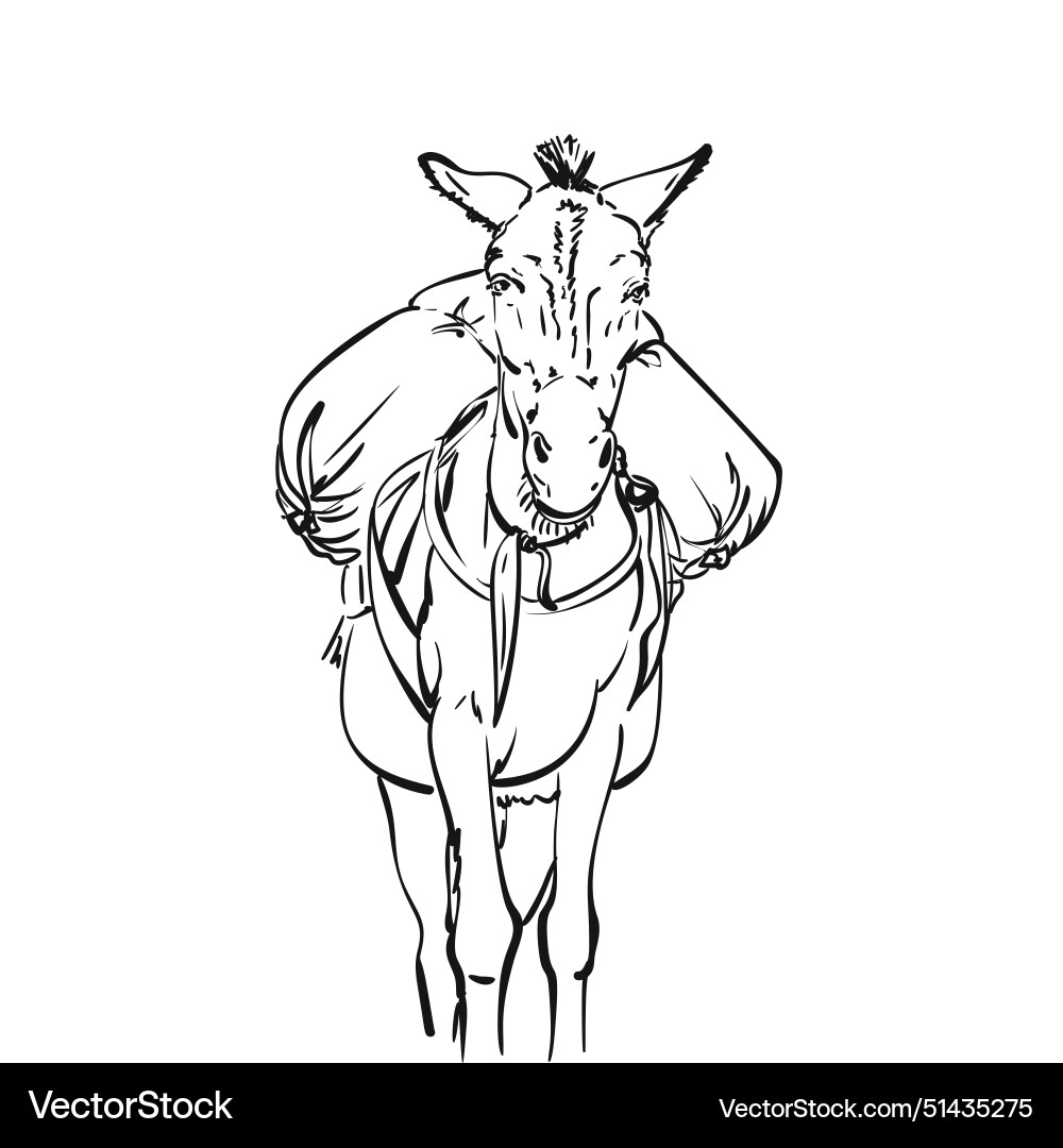Mule with heavy load on his back front view line Vector Image