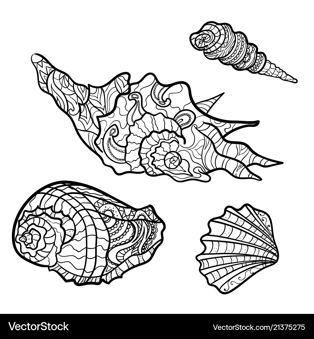 Seashells shell pattern set coloring book Vector Image