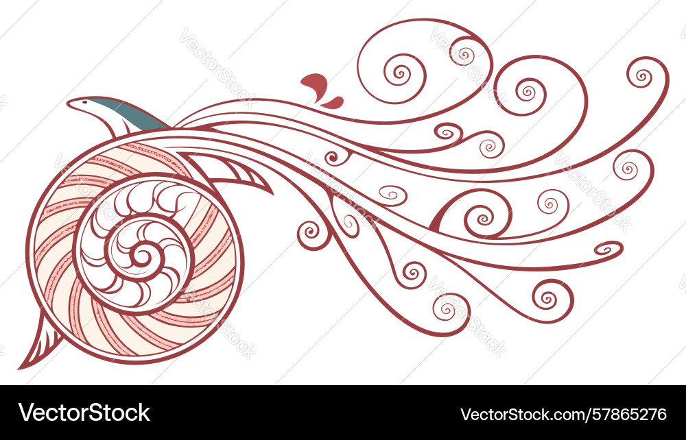 Abstract nautilus shell with flowing lines vector image