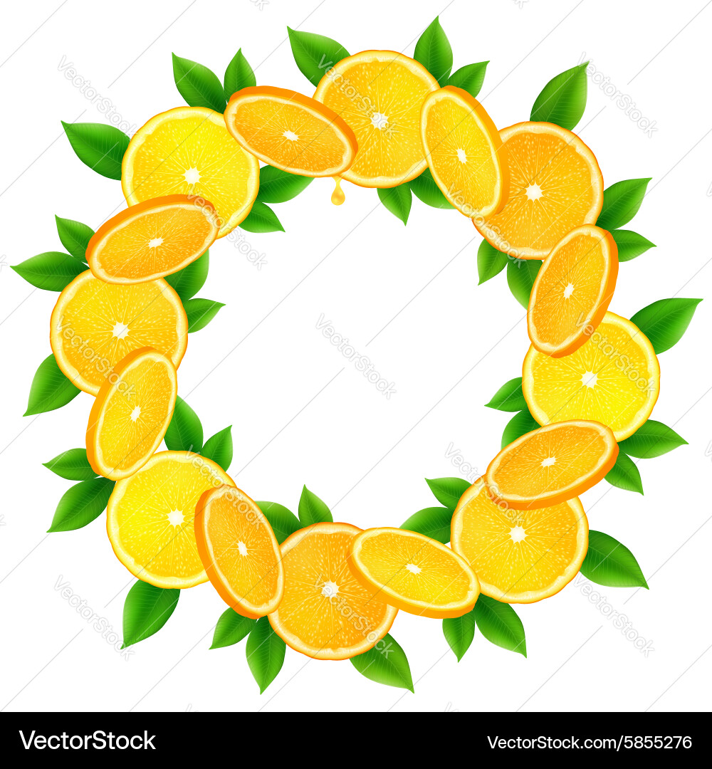 Orange slices with leaves round frame vector image
