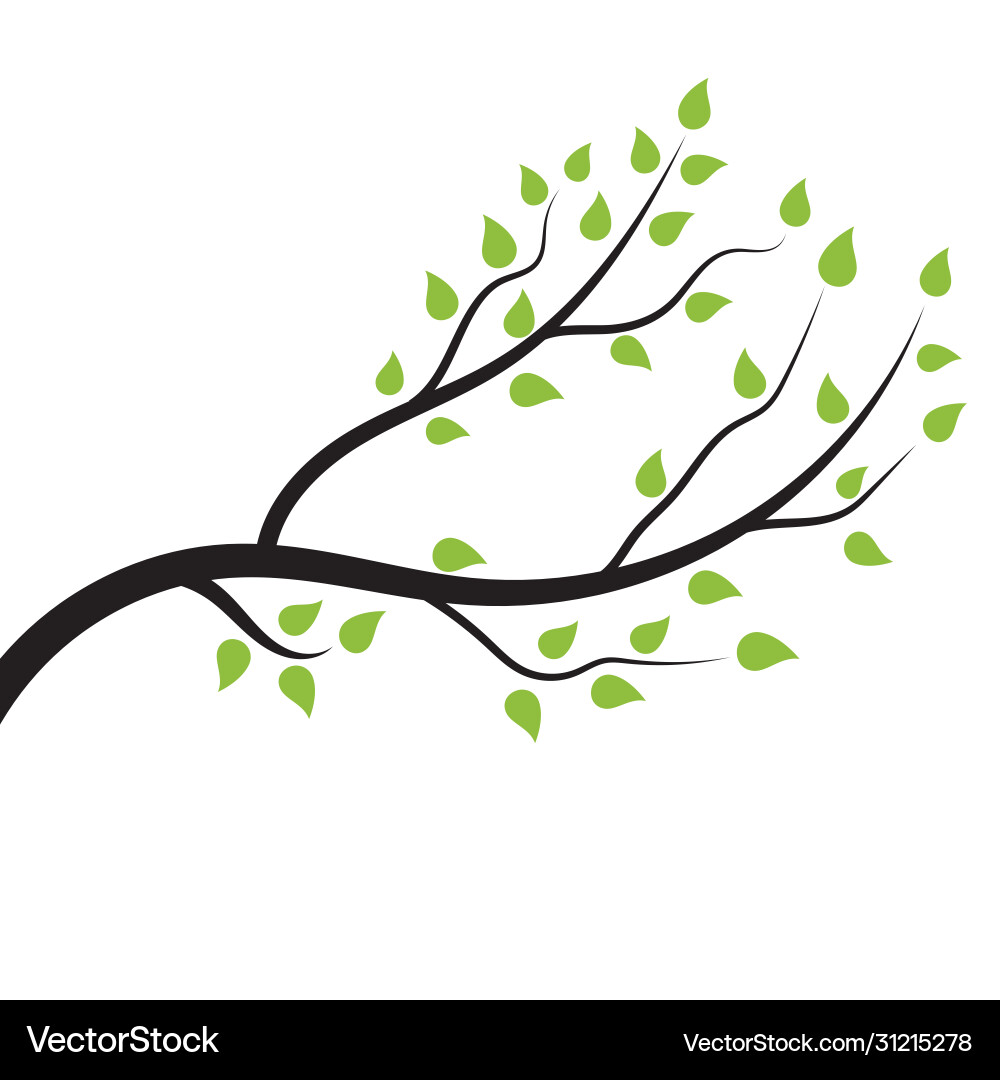 Tree branch design Tree branch design vector image
