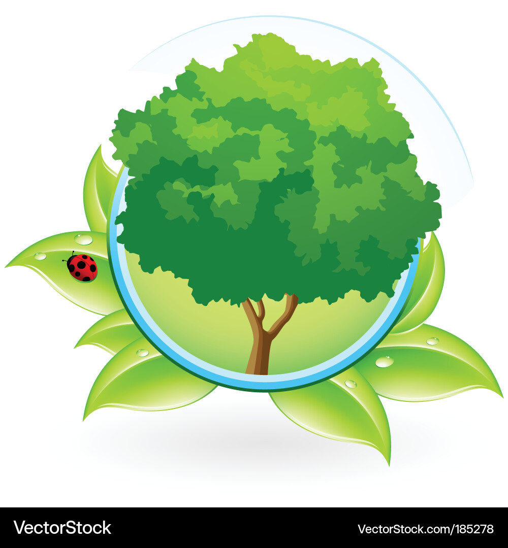 Tree icon Vector Image