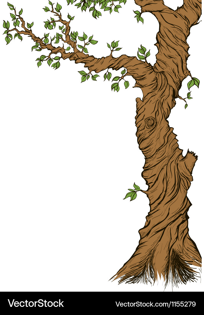 Elegant Tree Branch Background vector image