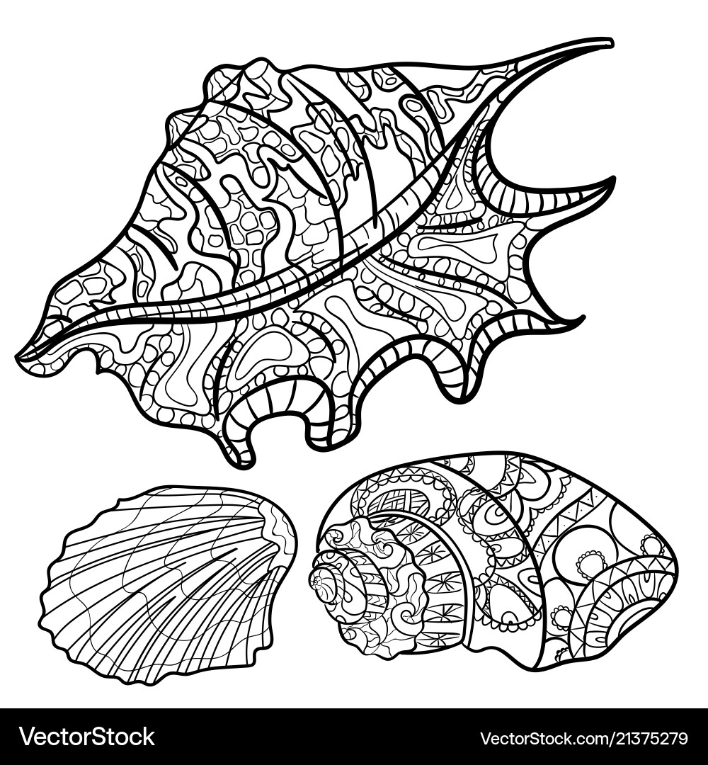 Seashells shell pattern set coloring book Vector Image