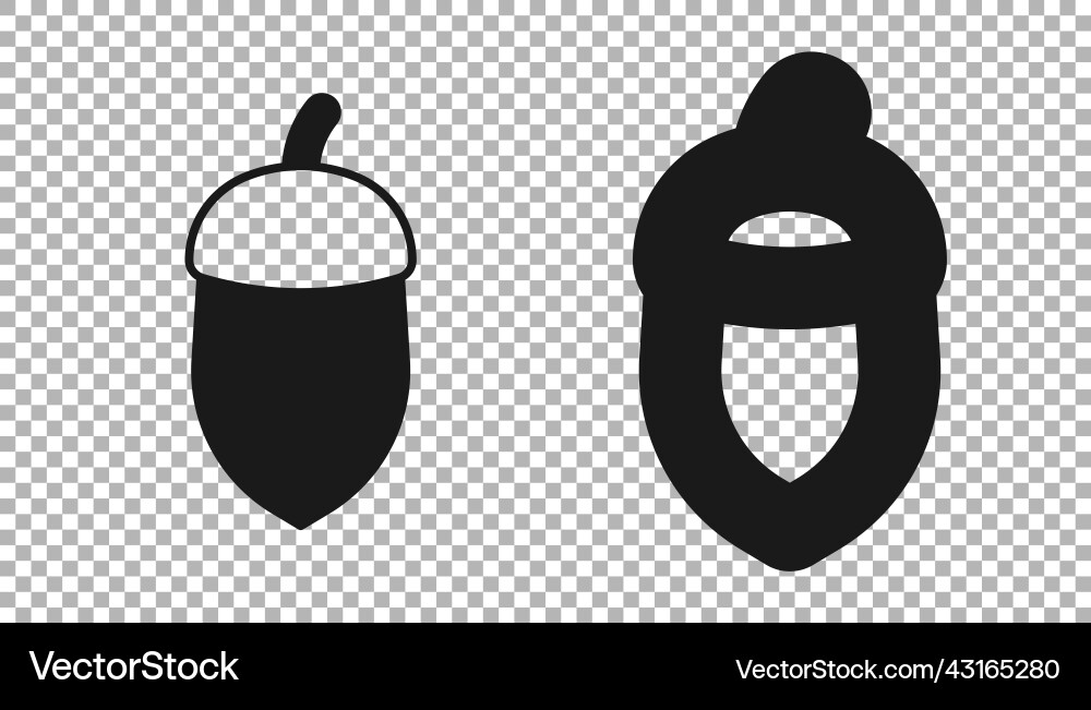 Black acorn icon isolated on transparent Black acorn icon isolated on transparent Vector Image