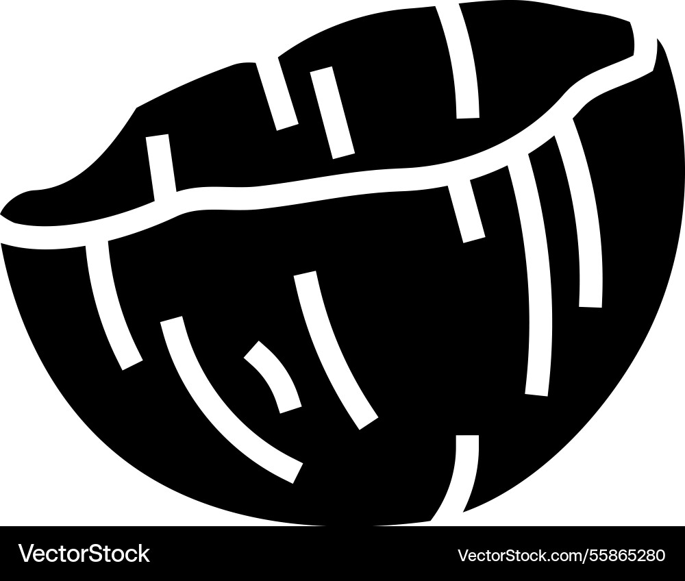 Coconut shell sustainable beauty glyph icon Coconut shell sustainable beauty glyph icon vector image