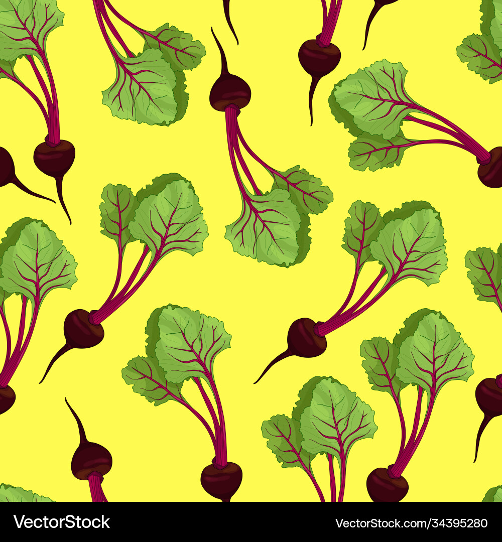 Realistic bright beetroot seamless pattern Vector Image