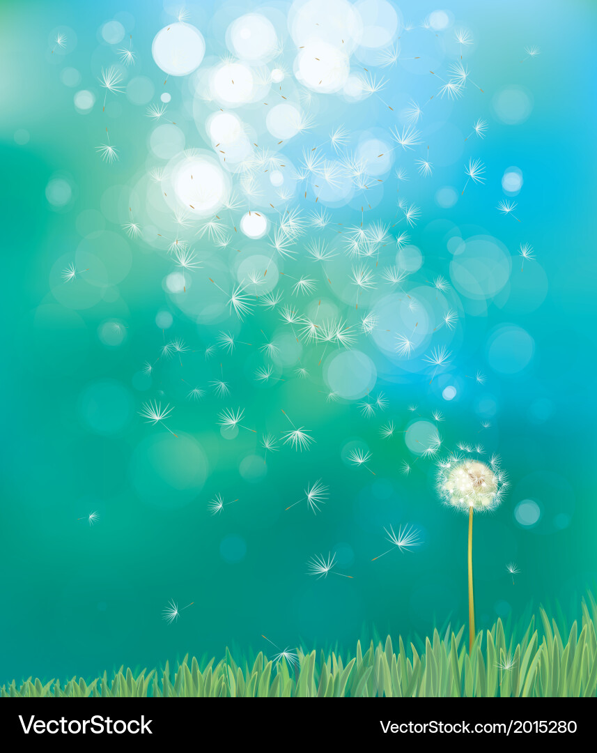 Spring Meadow Dandelion Background vector image