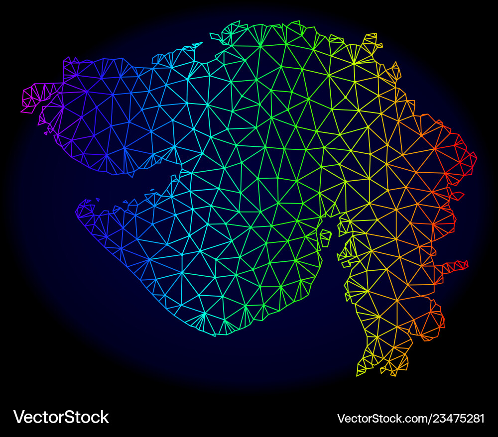 Polygonal wire frame spectrum mesh map Polygonal wire frame spectrum mesh map vector image