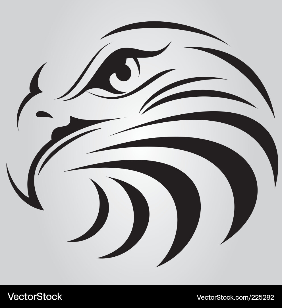 Flying Eagle Outline Vector Images (over 5,700)