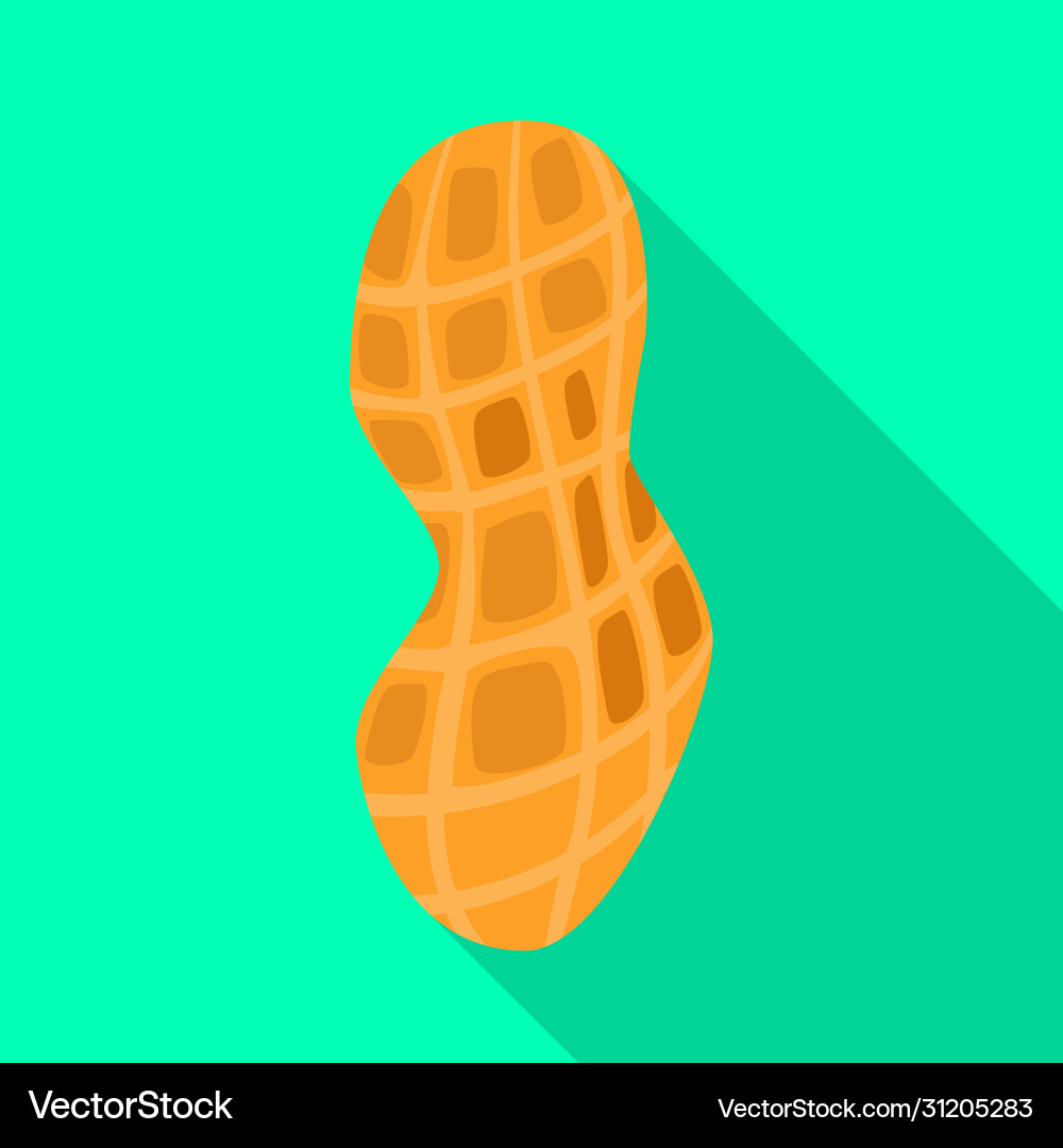Isolated object peanut and shell logo set Vector Image