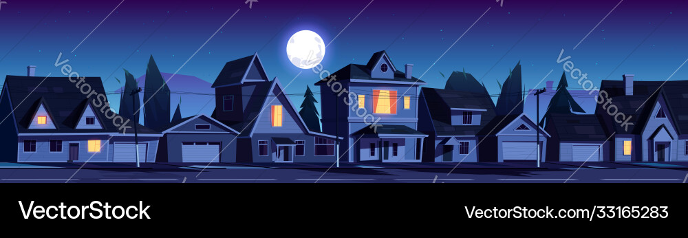 Suburban Night Street vector image