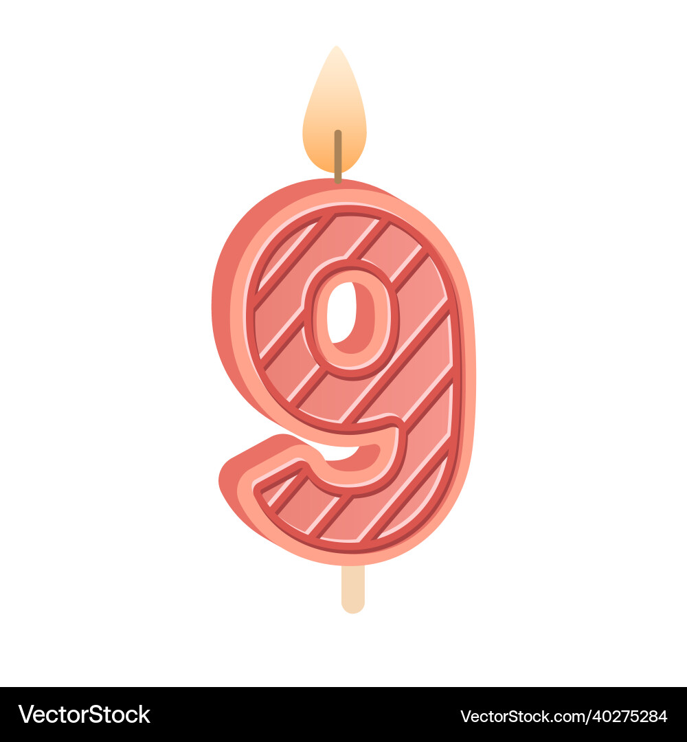 Birthday candle of 9 number shape for bday Birthday candle of 9 number shape for bday vector image