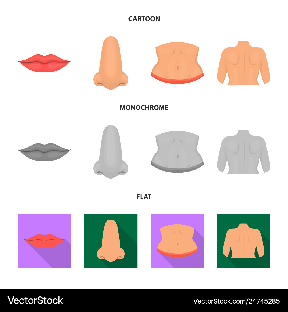 Design body and part symbol set Vector Image