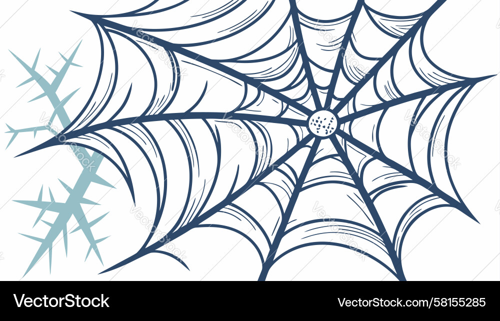 Intricate Spider Web Pattern Vector Image