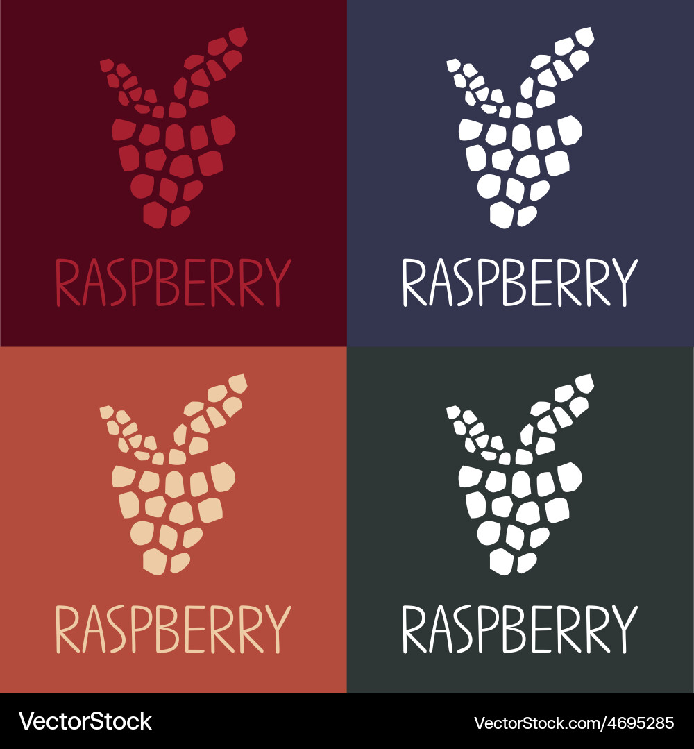 Mosaic raspberry design template vector image