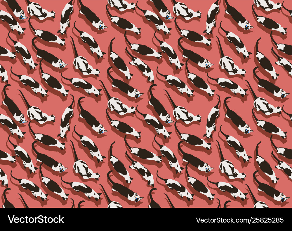 Siamese cat seamless pattern dense salmon wrapping Vector Image