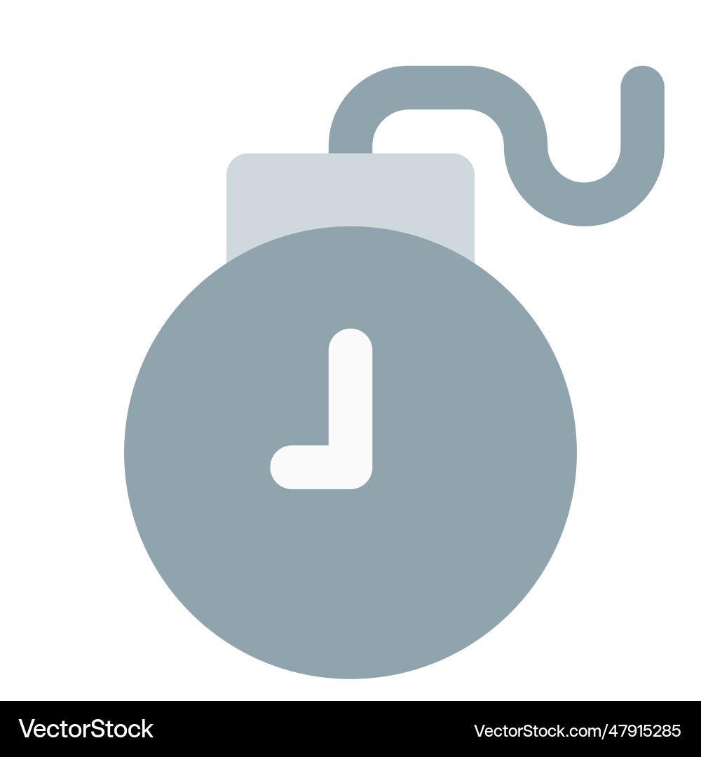 Time bomb a computer software to manage Vector Image