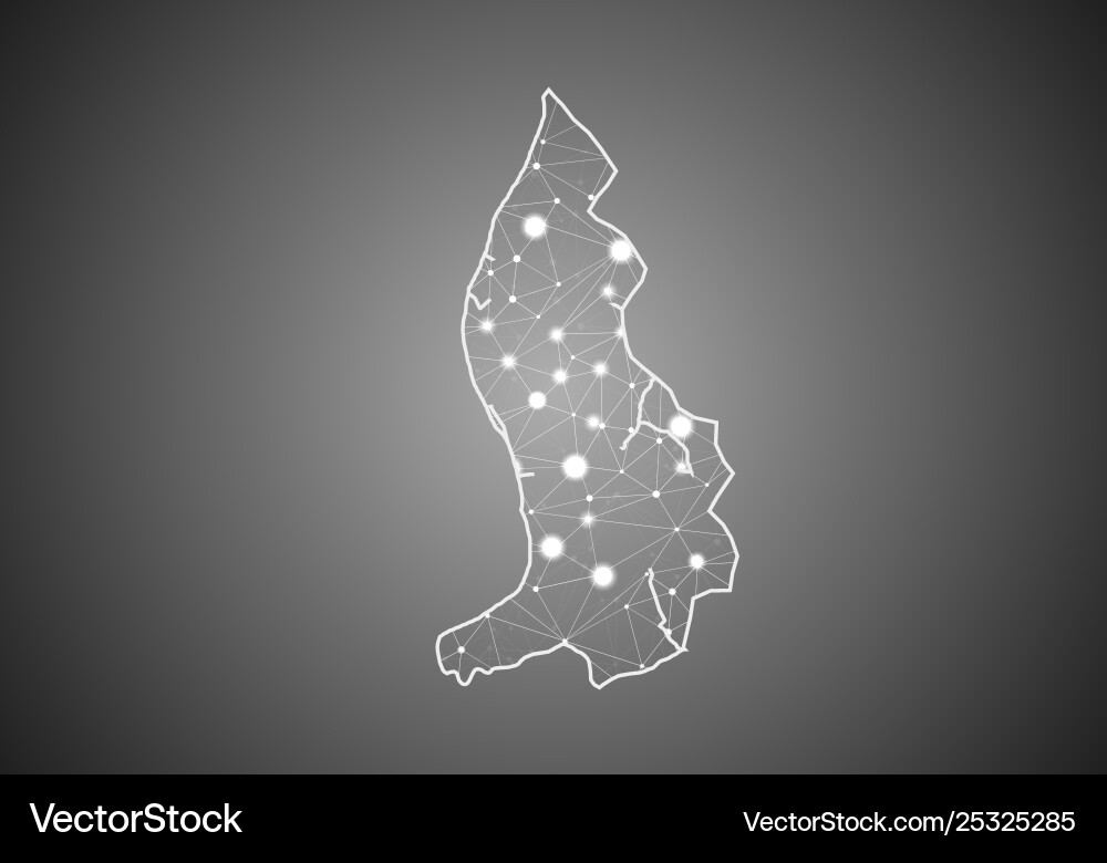 Wireframe mesh polygonal liechtenstein map Vector Image