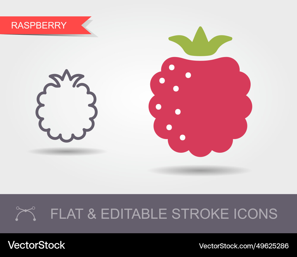 Raspberry line icon with shadow outline Vector Image