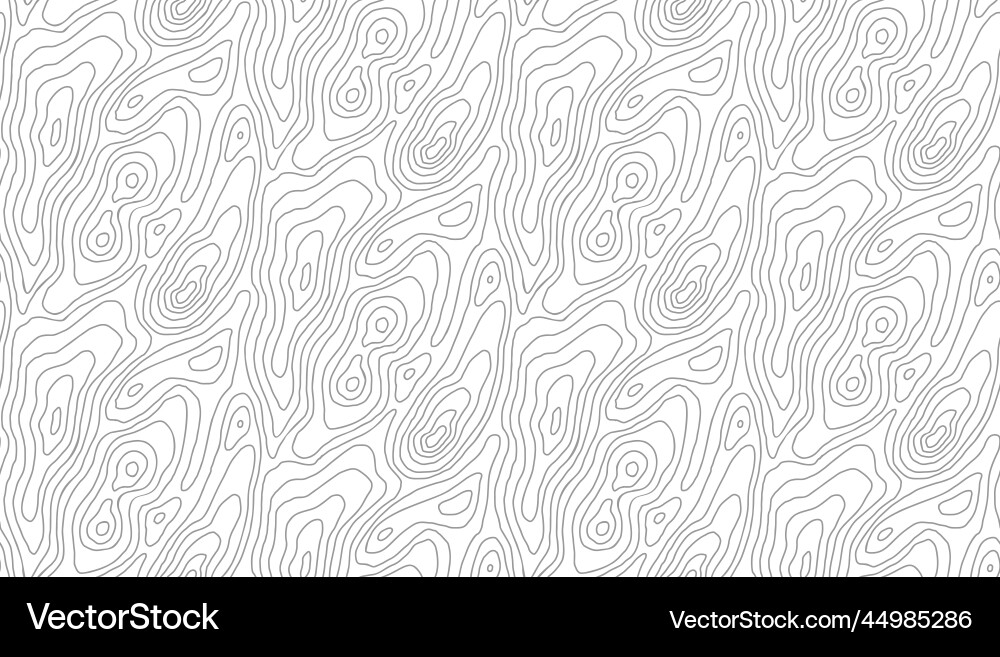 Topographic Contour Map Background vector image